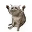 67CAT