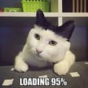 LOAD
