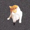 ICAT