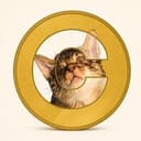 宝贝猫