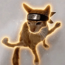 NINJACAT