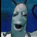 plankton