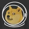 DOGE-1