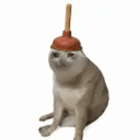 Plumbcat
