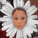 Petal