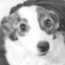 Strelka