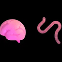 🧠🪱