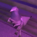 SUP