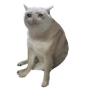 CATCUP