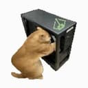 CPU