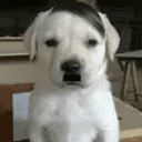 Hitler
