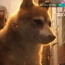 Kurimaru