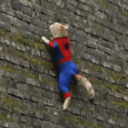 Spidercat