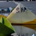 snp