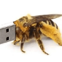 USB