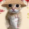 DumpCAt