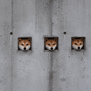 TripleM