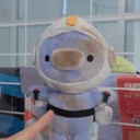 Moonpus