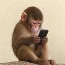 fone