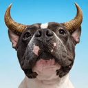 Bull