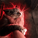 primal cat