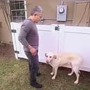 Cesar