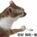 讨口子猫