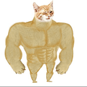 DOCAT