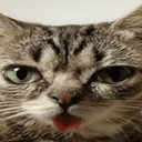 PIXELCAT