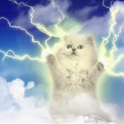 THNDRCAT