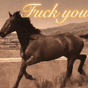 fuck you