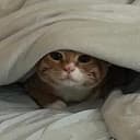 hide