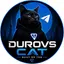 DCAT