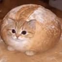 Loaf Car