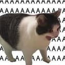 AAAAAAAAAAA