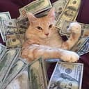 MONEYCAT