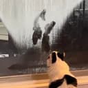 painter