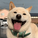Hakuchan
