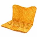 Chip