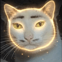 猫泥棒
