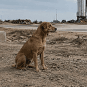 $ROCKET