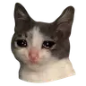 SADCAT