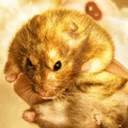 hamsters