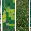 LandSat