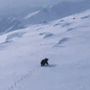 Ursa