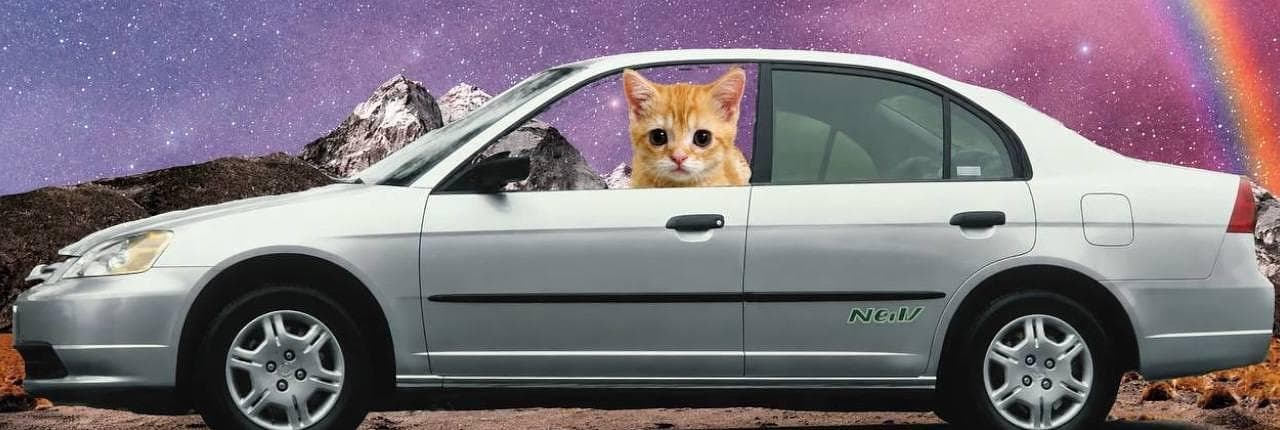 EL GATO Banner