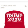 TRUMP 2028