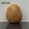 george