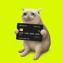CCAT