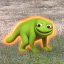 TOADCOON